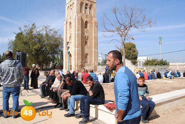 istesqa2 ramla 0201 (7).JPG